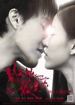 对不起,我爱你2014